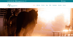 Desktop Screenshot of eggzamin.com
